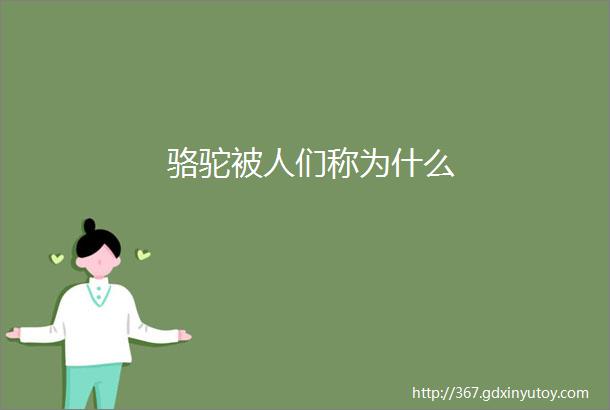 骆驼被人们称为什么